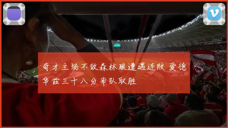 奇才主场不敌森林狼遭遇连败 爱德华兹三十八分率队取胜